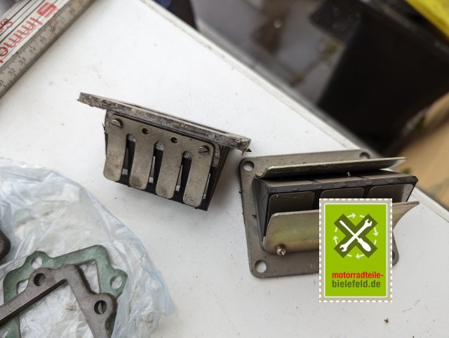 PXL_20240518_155254556